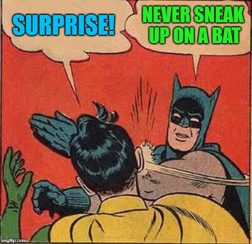 Batman Slapping Robin Meme | SURPRISE! NEVER SNEAK UP ON A BAT | image tagged in memes,batman slapping robin | made w/ Imgflip meme maker