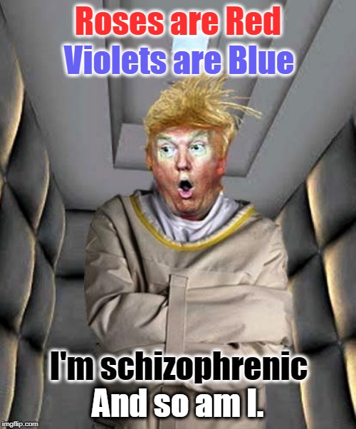 Roses are Red; Violets are Blue; I'm schizophrenic; And so am I. | image tagged in trump,insane,schizophrenic,dementia,crazy | made w/ Imgflip meme maker