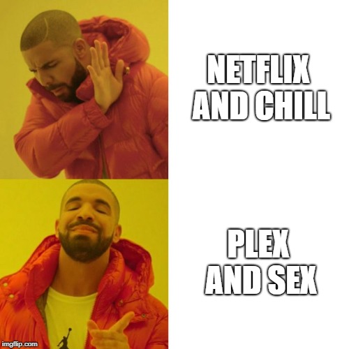 Drake Blank | NETFLIX AND CHILL; PLEX AND SEX | image tagged in drake blank | made w/ Imgflip meme maker