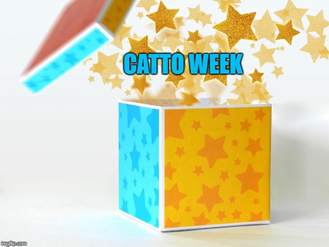 gift | CATTO WEEK | image tagged in gift | made w/ Imgflip meme maker