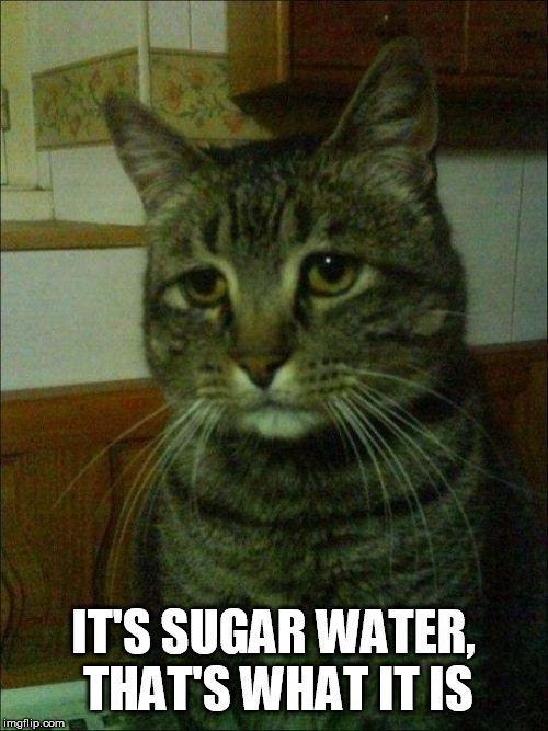 Depressed Cat Meme | IT'S SUGAR WATER, THAT'S WHAT IT IS | image tagged in memes,depressed cat | made w/ Imgflip meme maker