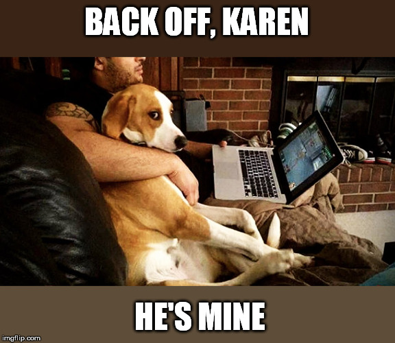 Jealous doggo | BACK OFF, KAREN; HE'S MINE | image tagged in doggo week,jealous,dog | made w/ Imgflip meme maker
