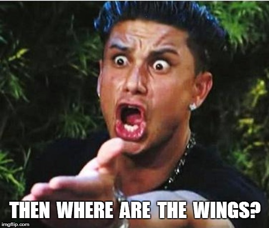 THEN  WHERE  ARE  THE  WINGS? | made w/ Imgflip meme maker
