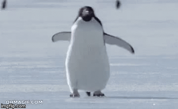 image tagged in gifs | made w/ Imgflip video-to-gif maker