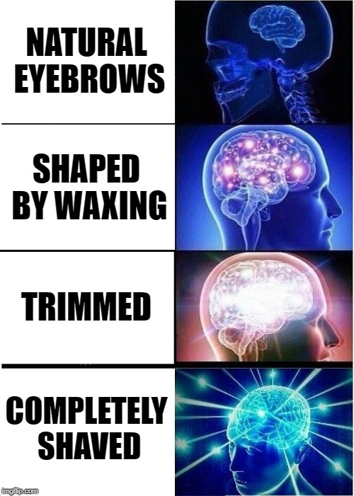 Expanding Brain | NATURAL EYEBROWS; SHAPED BY WAXING; TRIMMED; COMPLETELY SHAVED | image tagged in memes,expanding brain | made w/ Imgflip meme maker