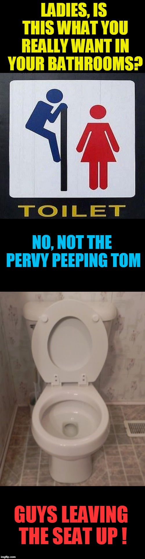 You asked for it. | LADIES, IS THIS WHAT YOU REALLY WANT IN YOUR BATHROOMS? NO, NOT THE PERVY PEEPING TOM; GUYS LEAVING THE SEAT UP ! | image tagged in toilet seat up,transgender bathrooms | made w/ Imgflip meme maker