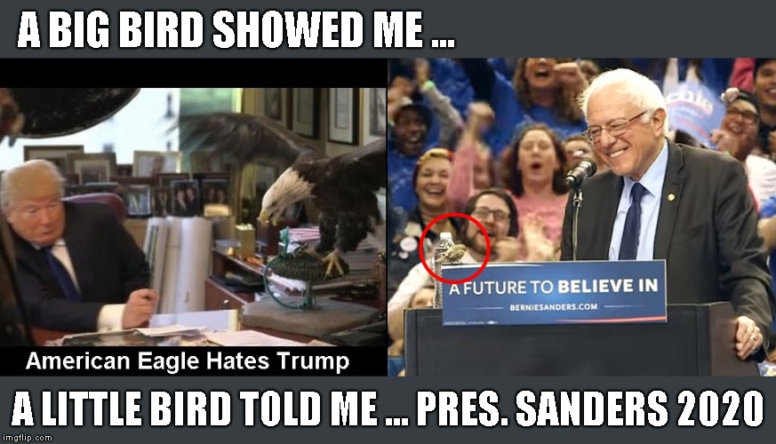 Some Tweets | A BIG BIRD SHOWED ME ... A LITTLE BIRD TOLD ME ... PRES. SANDERS 2020 | image tagged in bernie sanders,sanders 2020,vote bernie sanders,bernie for president,feel the bern | made w/ Imgflip meme maker