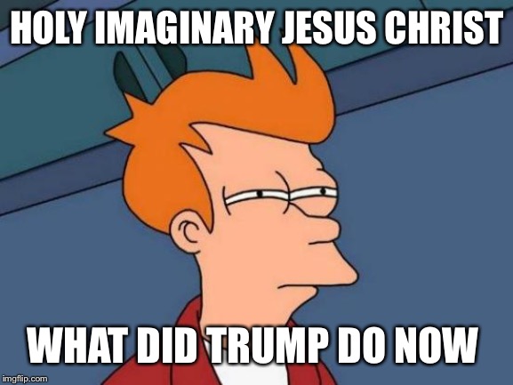 Futurama Fry Meme | HOLY IMAGINARY JESUS CHRIST WHAT DID TRUMP DO NOW | image tagged in memes,futurama fry | made w/ Imgflip meme maker