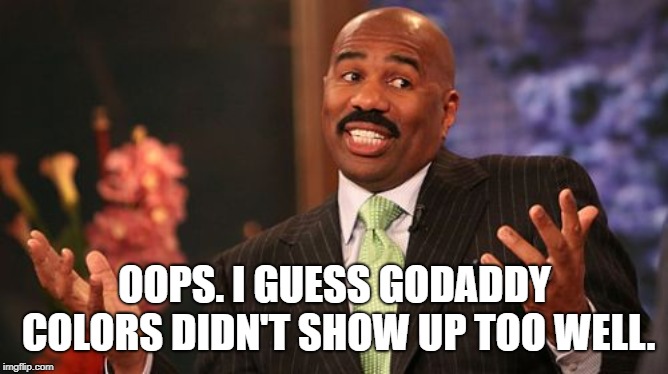 Steve Harvey Meme | OOPS. I GUESS GODADDY COLORS DIDN'T SHOW UP TOO WELL. | image tagged in memes,steve harvey | made w/ Imgflip meme maker