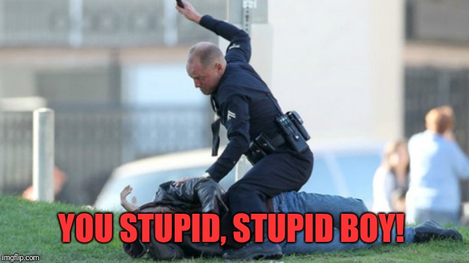 Cop Beating | YOU STUPID, STUPID BOY! | image tagged in cop beating | made w/ Imgflip meme maker