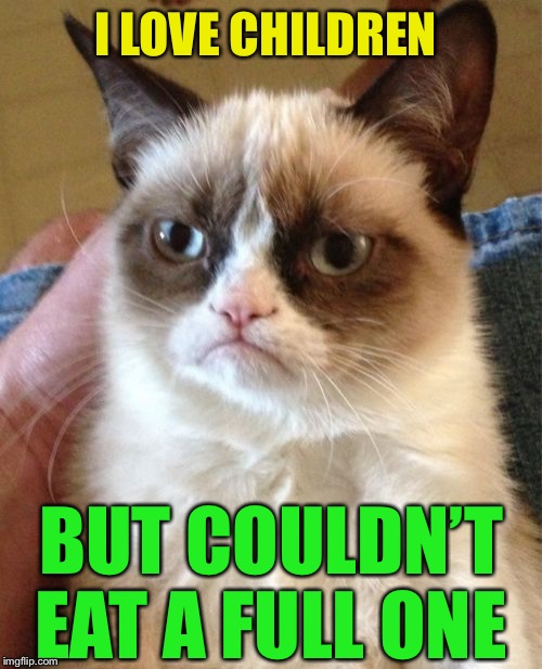 Grumpy Cat Meme | I LOVE CHILDREN BUT COULDN’T EAT A FULL ONE | image tagged in memes,grumpy cat | made w/ Imgflip meme maker