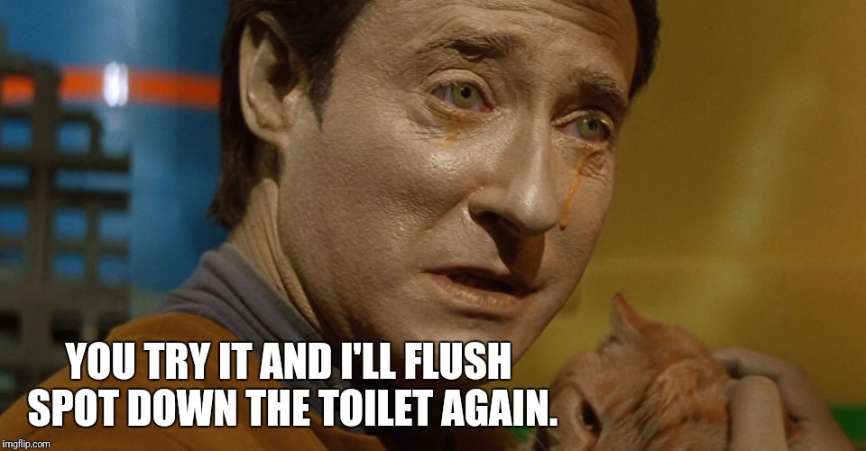 YOU TRY IT AND I'LL FLUSH SPOT DOWN THE TOILET AGAIN. | made w/ Imgflip meme maker
