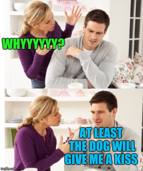 Arguing Couple 1 | WHYYYYYY? AT LEAST THE DOG WILL GIVE ME A KISS | image tagged in arguing couple 1 | made w/ Imgflip meme maker