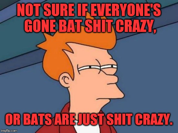 Futurama Fry | NOT SURE IF EVERYONE'S GONE BAT SHIT CRAZY, OR BATS ARE JUST SHIT CRAZY. | image tagged in memes,futurama fry | made w/ Imgflip meme maker