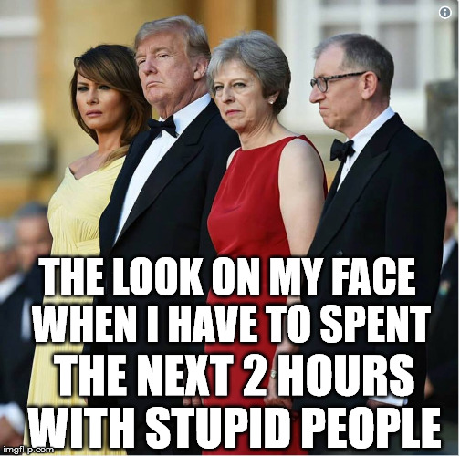 You May kill me now please! | THE LOOK ON MY FACE WHEN I HAVE TO SPENT; THE NEXT 2 HOURS WITH STUPID PEOPLE | image tagged in trump,donald trump,theresa may,stupid people,frustrated,annoyed | made w/ Imgflip meme maker