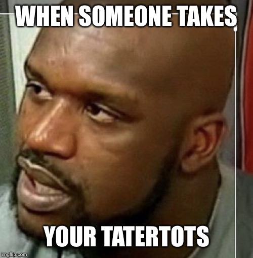 WHEN SOMEONE TAKES; YOUR TATERTOTS | image tagged in taylor hopson | made w/ Imgflip meme maker