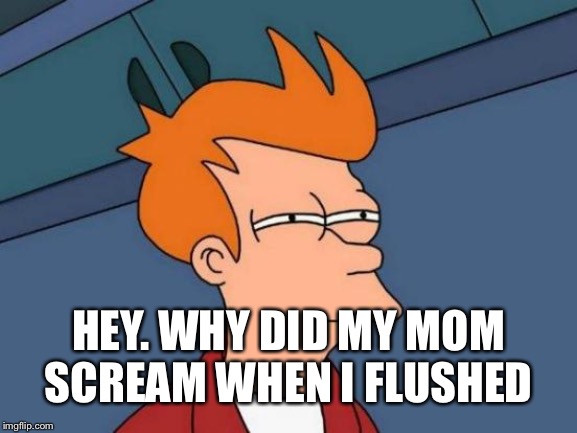 Futurama Fry Meme | HEY. WHY DID MY MOM SCREAM WHEN I FLUSHED | image tagged in memes,futurama fry | made w/ Imgflip meme maker