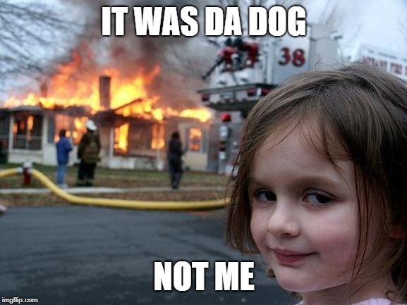 Fire Dog | IT WAS DA DOG; NOT ME | image tagged in memes,disaster girl | made w/ Imgflip meme maker