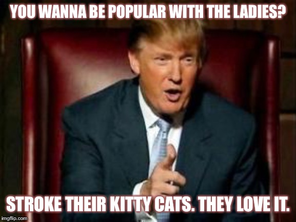 They let you just walk up and handle their cats | YOU WANNA BE POPULAR WITH THE LADIES? STROKE THEIR KITTY CATS. THEY LOVE IT. | image tagged in donald trump | made w/ Imgflip meme maker