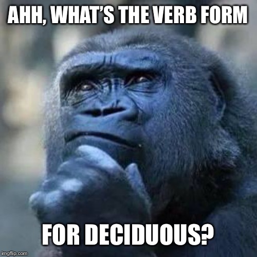 Thinking ape | AHH, WHAT’S THE VERB FORM FOR DECIDUOUS? | image tagged in thinking ape | made w/ Imgflip meme maker