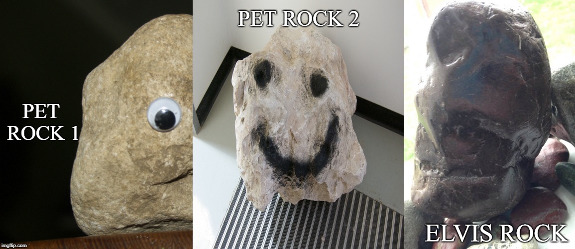PET ROCK 2; PET ROCK 1; ELVIS ROCK | image tagged in pet rock,elvis petrified | made w/ Imgflip meme maker