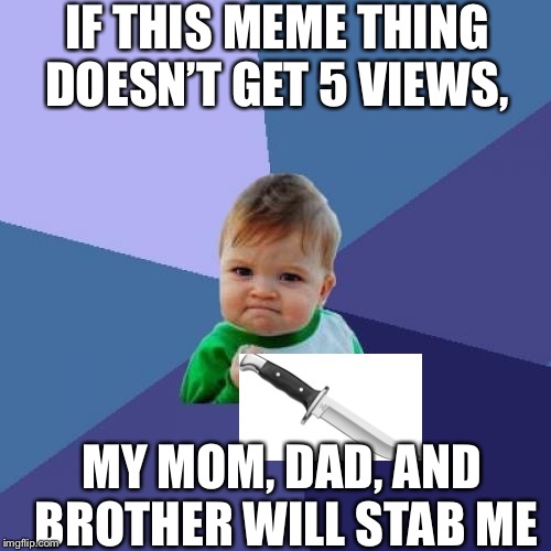 Success Kid | IF THIS MEME THING DOESN’T GET 5 VIEWS, MY MOM, DAD, AND BROTHER WILL STAB ME | image tagged in memes,success kid | made w/ Imgflip meme maker