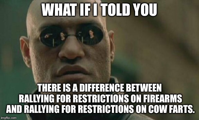 Are cow farts as deadly as high caliber bullets? | WHAT IF I TOLD YOU; THERE IS A DIFFERENCE BETWEEN RALLYING FOR RESTRICTIONS ON FIREARMS AND RALLYING FOR RESTRICTIONS ON COW FARTS. | image tagged in memes,matrix morpheus,gun control,cow,fart,protest | made w/ Imgflip meme maker