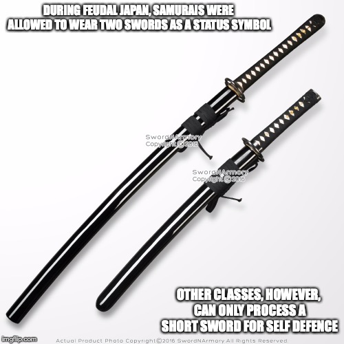 Daisho | DURING FEUDAL JAPAN, SAMURAIS WERE ALLOWED TO WEAR TWO SWORDS AS A STATUS SYMBOL; OTHER CLASSES, HOWEVER, CAN ONLY PROCESS A SHORT SWORD FOR SELF DEFENCE | image tagged in daisho,katana,wakizashi,memes,weapons | made w/ Imgflip meme maker