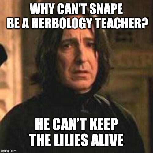 professor snape | WHY CAN’T SNAPE BE A HERBOLOGY TEACHER? HE CAN’T KEEP THE LILIES ALIVE | image tagged in professor snape | made w/ Imgflip meme maker