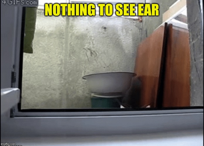 NOTHING TO SEE EAR | made w/ Imgflip meme maker