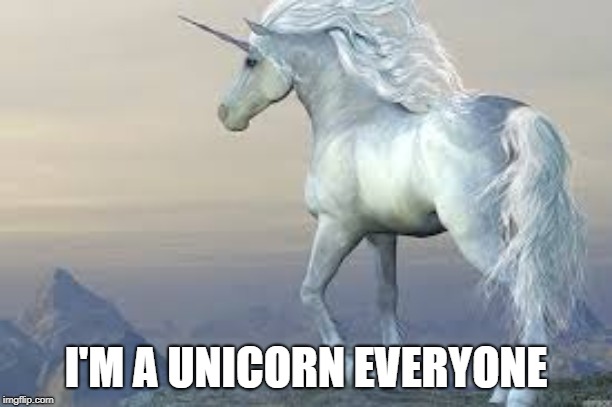 I'm a Unicorn | I'M A UNICORN EVERYONE | image tagged in unicorn | made w/ Imgflip meme maker