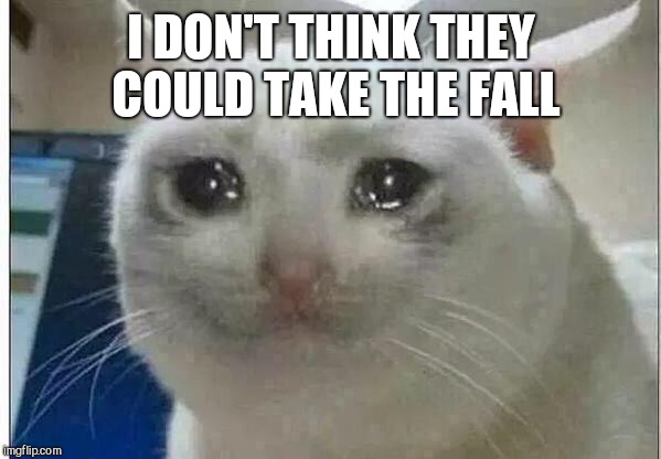 crying cat | I DON'T THINK THEY COULD TAKE THE FALL | image tagged in crying cat | made w/ Imgflip meme maker