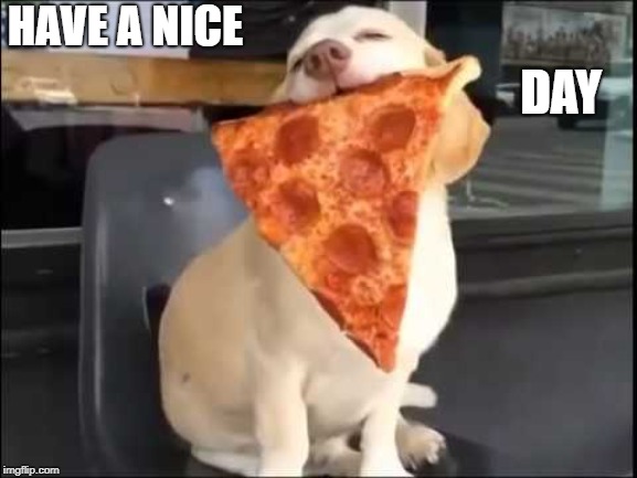 PIZZA SPIRIT ANIMAL | HAVE A NICE; DAY | image tagged in pizza spirit animal | made w/ Imgflip meme maker