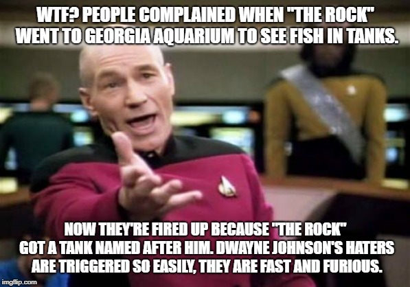 The Rock triggers people who hate tanks | WTF? PEOPLE COMPLAINED WHEN "THE ROCK" WENT TO GEORGIA AQUARIUM TO SEE FISH IN TANKS. NOW THEY'RE FIRED UP BECAUSE "THE ROCK" GOT A TANK NAMED AFTER HIM. DWAYNE JOHNSON'S HATERS ARE TRIGGERED SO EASILY, THEY ARE FAST AND FURIOUS. | image tagged in memes,picard wtf,the rock,tank,fast and furious,triggered | made w/ Imgflip meme maker