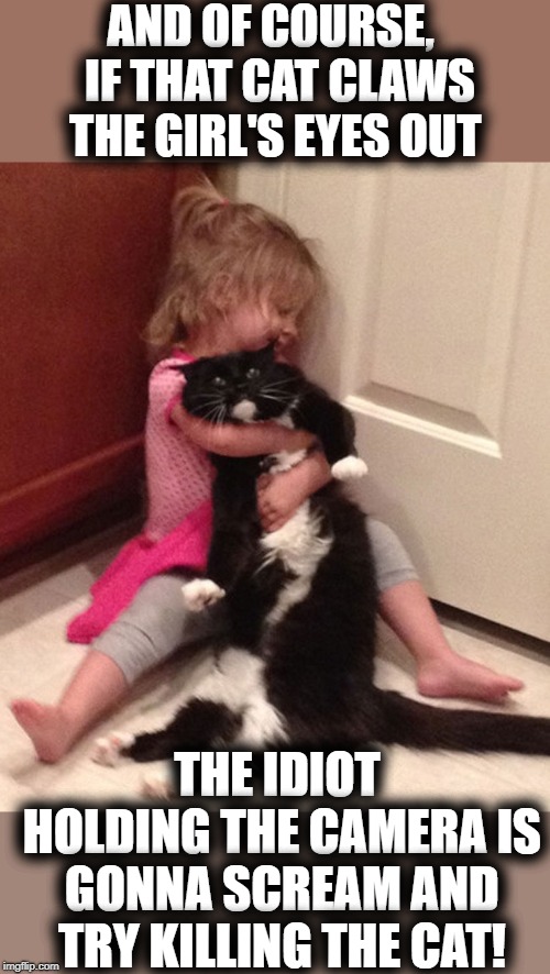 Unbelievable! | AND OF COURSE,  IF THAT CAT CLAWS THE GIRL'S EYES OUT; THE IDIOT HOLDING THE CAMERA IS GONNA SCREAM AND TRY KILLING THE CAT! | image tagged in stupid humans,smh | made w/ Imgflip meme maker
