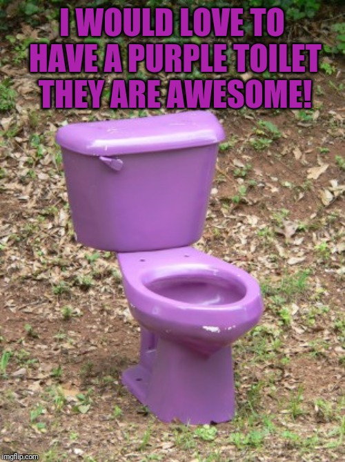 Purple toilet | I WOULD LOVE TO HAVE A PURPLE TOILET THEY ARE AWESOME! | image tagged in purple toilet | made w/ Imgflip meme maker
