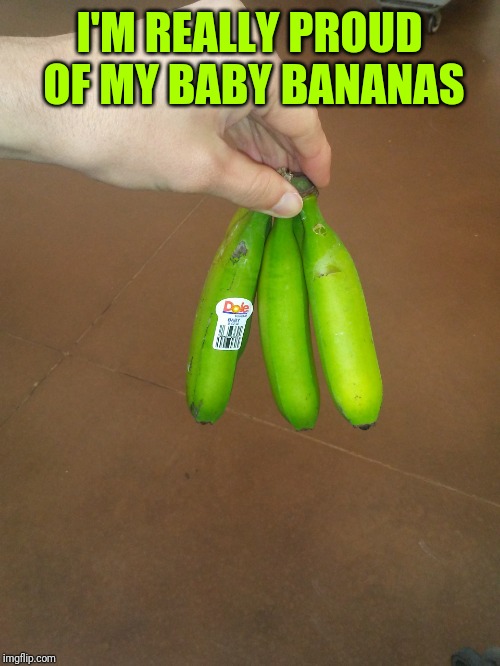 Baby bananas | I'M REALLY PROUD OF MY BABY BANANAS | image tagged in bananas | made w/ Imgflip meme maker