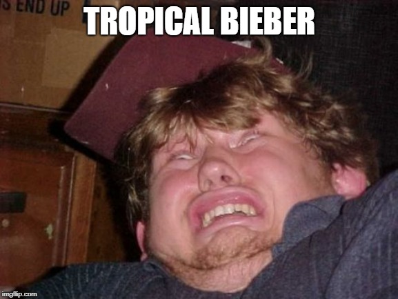 WTF Meme | TROPICAL BIEBER | image tagged in memes,wtf | made w/ Imgflip meme maker