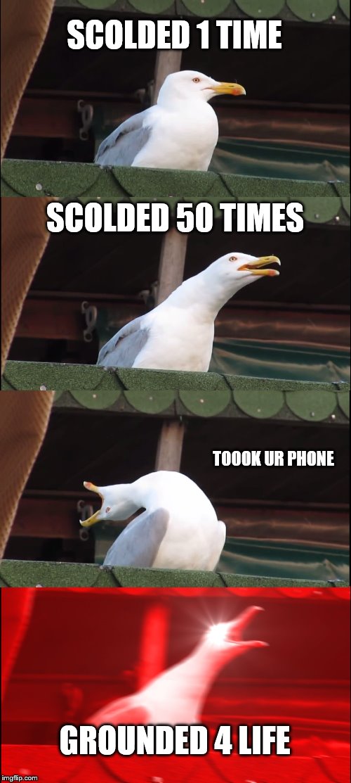 Inhaling Seagull | SCOLDED 1 TIME; SCOLDED 50 TIMES; TOOOK UR PHONE; GROUNDED 4 LIFE | image tagged in memes,inhaling seagull | made w/ Imgflip meme maker