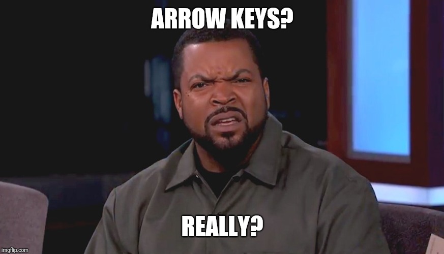 Really? Ice Cube | ARROW KEYS? REALLY? | image tagged in really ice cube | made w/ Imgflip meme maker