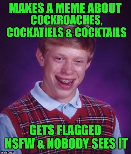 Bad Luck Brian Meme | MAKES A MEME ABOUT; COCKROACHES, COCKATIELS & COCKTAILS; GETS FLAGGED NSFW & NOBODY SEES IT | image tagged in memes,bad luck brian | made w/ Imgflip meme maker