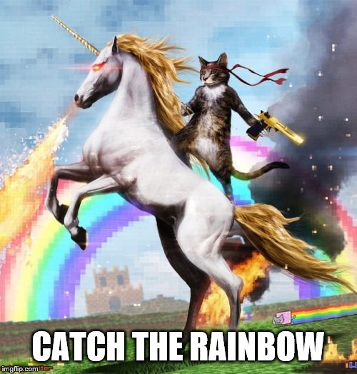 Welcome To The Internets Meme | CATCH THE RAINBOW | image tagged in memes,welcome to the internets | made w/ Imgflip meme maker