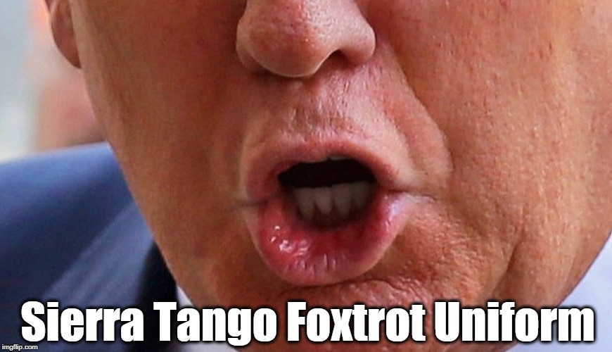 Sierra Tango Foxtrot Uniform | image tagged in trump,mouth,sierra,tango,foxtrot,uniform | made w/ Imgflip meme maker