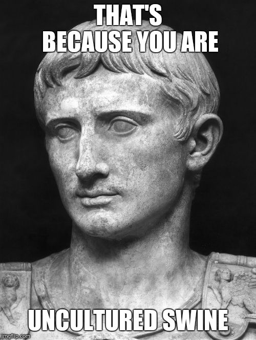Julius Caesar 5 | THAT'S BECAUSE YOU ARE UNCULTURED SWINE | image tagged in julius caesar 5 | made w/ Imgflip meme maker