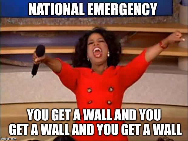 Oprah You Get A Meme | NATIONAL EMERGENCY; YOU GET A WALL AND YOU GET A WALL AND YOU GET A WALL | image tagged in memes,oprah you get a | made w/ Imgflip meme maker