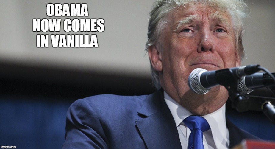 right wingers are the real snowflakes  | OBAMA NOW COMES IN VANILLA | image tagged in donald trump | made w/ Imgflip meme maker