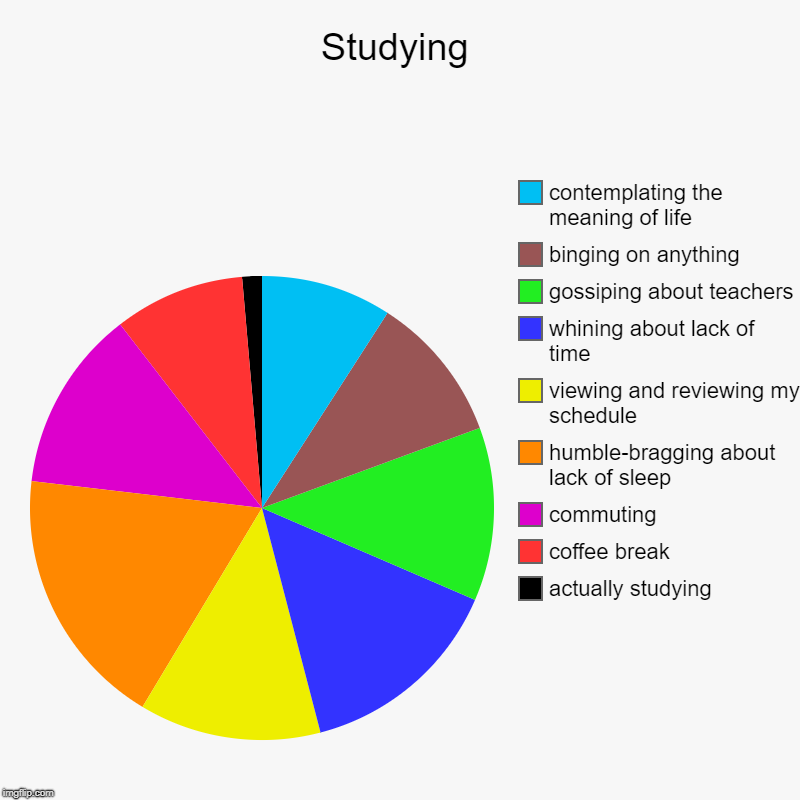 Studying | actually studying, coffee break, commuting, humble-bragging about lack of sleep, viewing and reviewing my schedule, whining about | image tagged in charts,pie charts | made w/ Imgflip chart maker