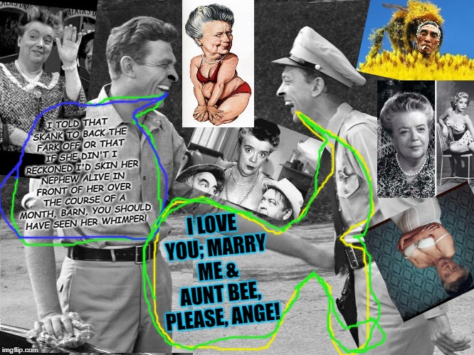 long arm of the law (mayberry) | I TOLD THAT SKANK TO BACK THE FARK OFF OR THAT IF SHE DIN'T I RECKONED I'D SKIN HER NEPHEW ALIVE IN FRONT OF HER OVER THE COURSE OF A MONTH, BARN, YOU SHOULD HAVE SEEN HER WHIMPER! I LOVE YOU; MARRY ME & AUNT BEE, PLEASE, ANGE! | image tagged in long arm of the law mayberry | made w/ Imgflip meme maker