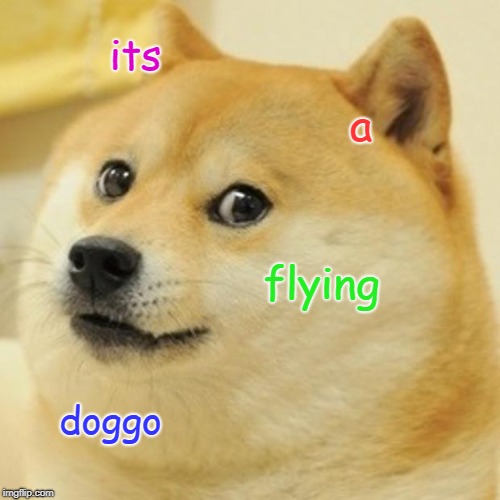 its a flying doggo | image tagged in memes,doge | made w/ Imgflip meme maker