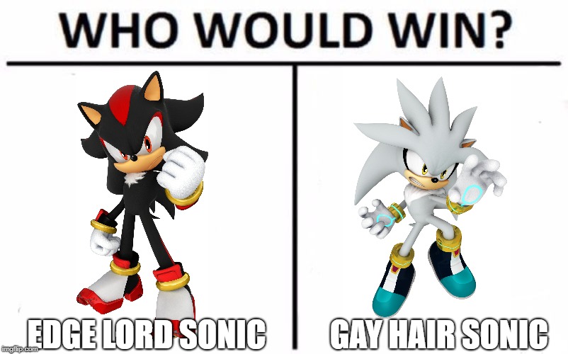 Who Would Win? Meme | EDGE LORD SONIC; GAY HAIR SONIC | image tagged in memes,who would win | made w/ Imgflip meme maker